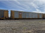 TTGX 822098
